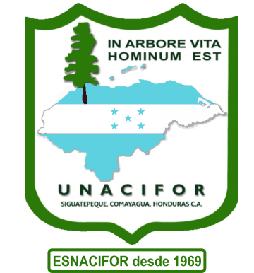 Logo UNACIFOR