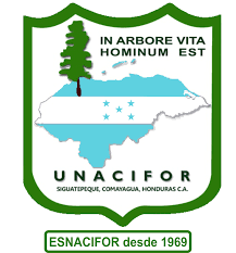 Logo UNACIFOR